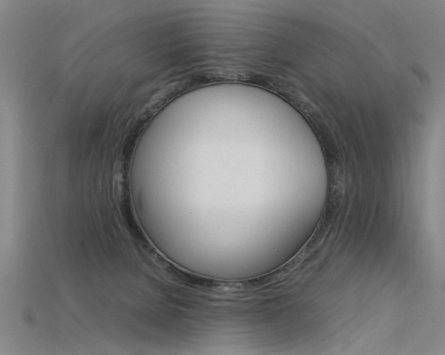 X0000115800080200911131031