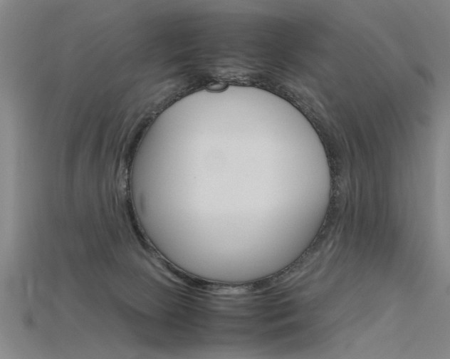 X0000115800081200911131031