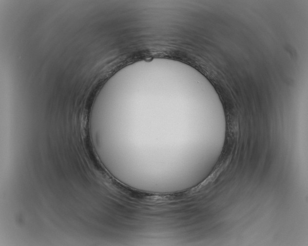 X0000115800082200911131031