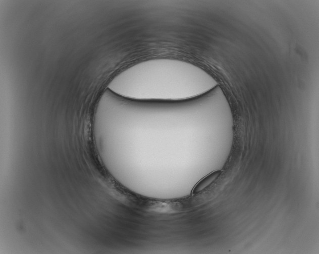 X0000115800083200911131031