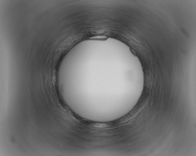 X0000115800085200911131031