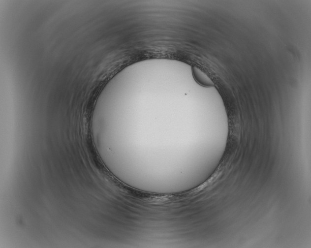 X0000115800086200911131031