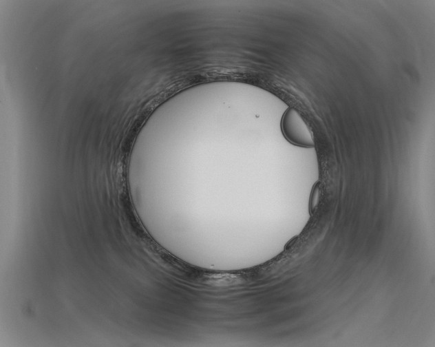 X0000115800087200911131031