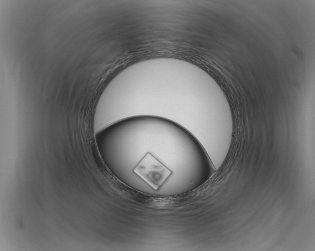 X0000115800088200911131031