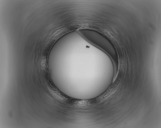 X0000115800092200911131031