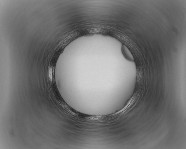 X0000115800094200911131031