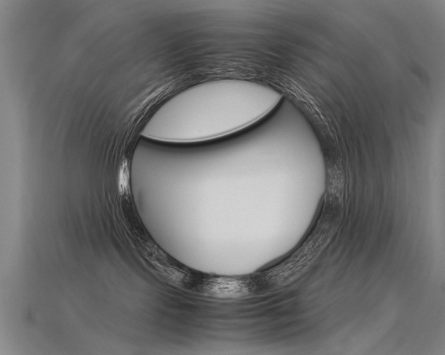 X0000115800095200911131031