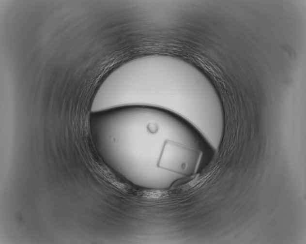 X0000115800096200911131031