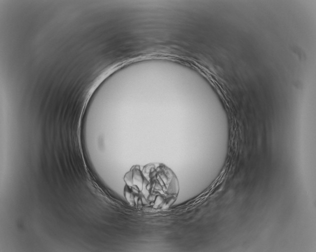 X0000115800100200911131030