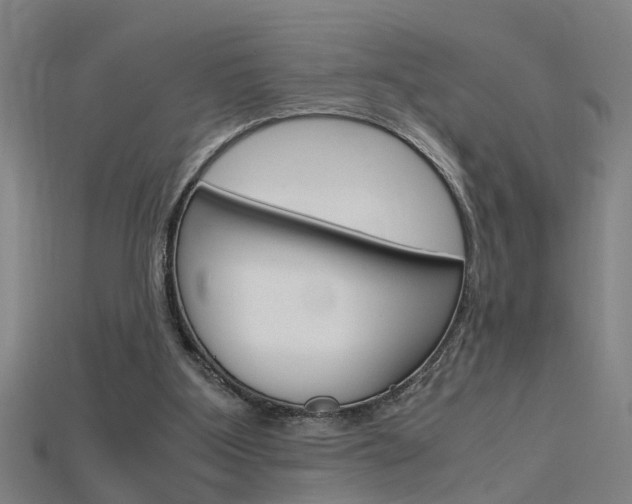 X0000115800107200911131030