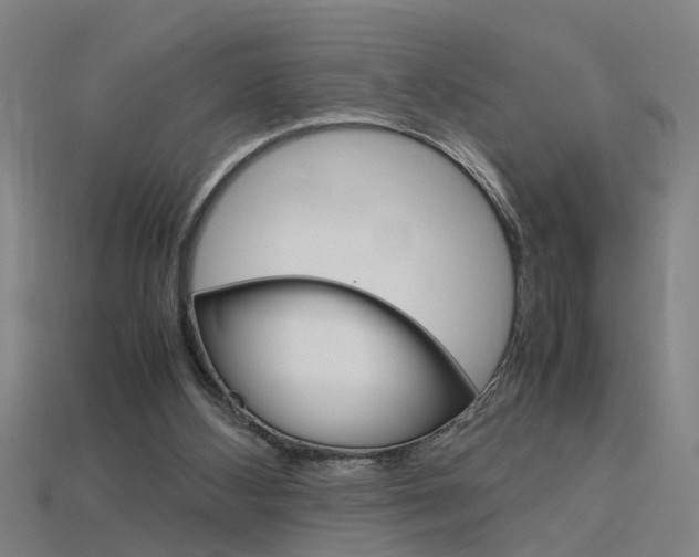 X0000115800108200911131030