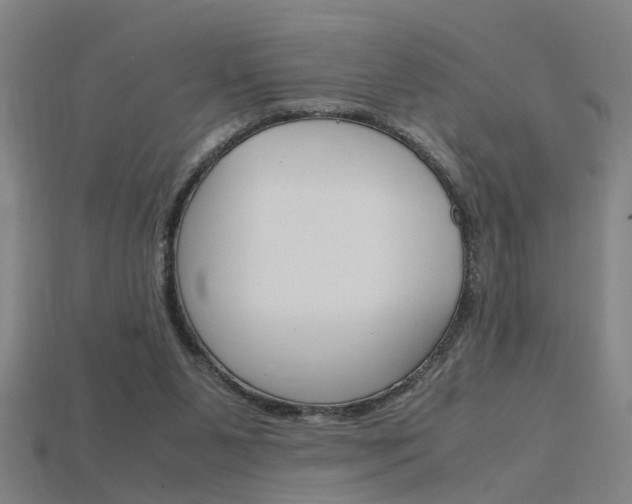 X0000115800111200911131030