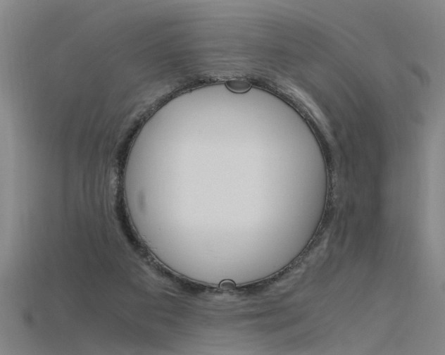 X0000115800113200911131030