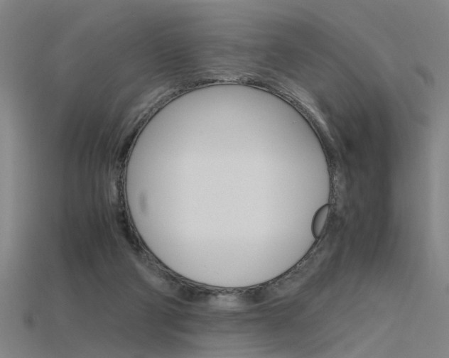 X0000115800114200911131030