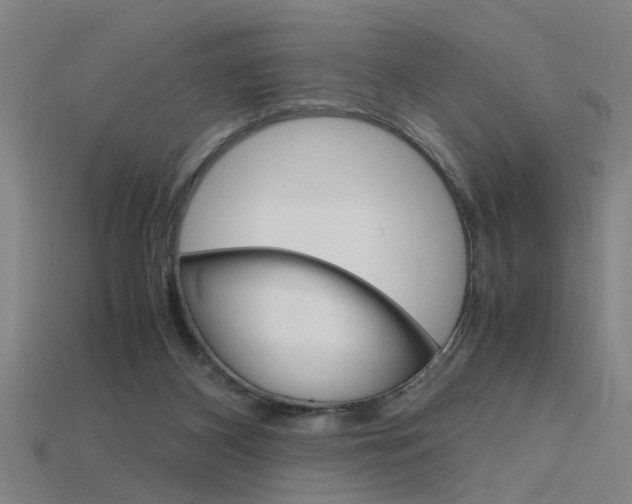 X0000115800116200911131030