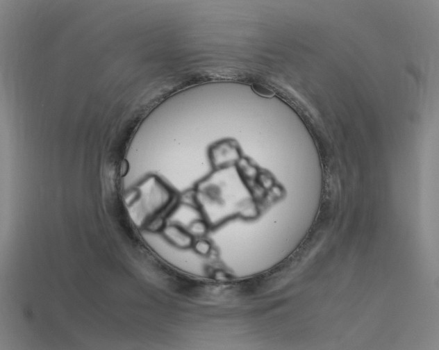 X0000115800117200911131030