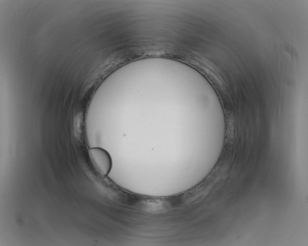 X0000115800118200911131030