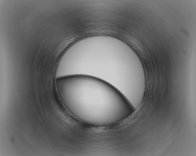 X0000115800120200911131030