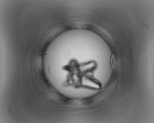 X0000115800121200911131030