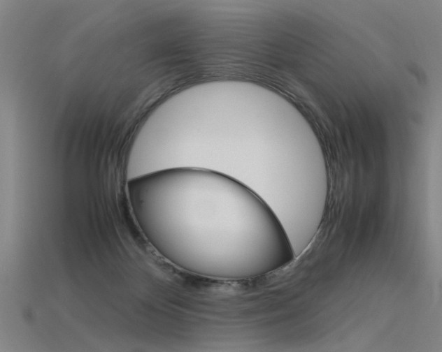 X0000115800124200911131030