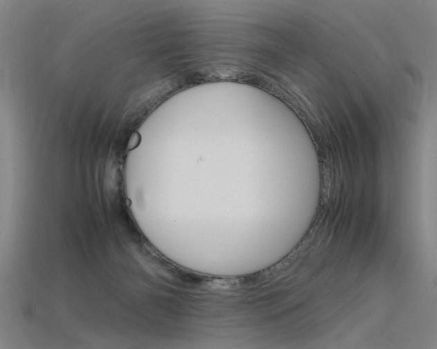 X0000115800126200911131030