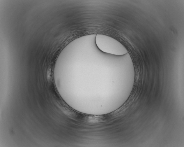X0000115800134200911131030