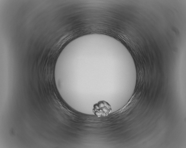 X0000115800140200911131030