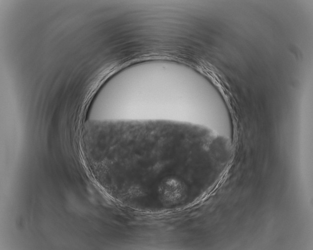 X0000115800145200911131029