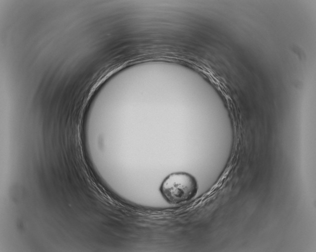 X0000115800146200911131029