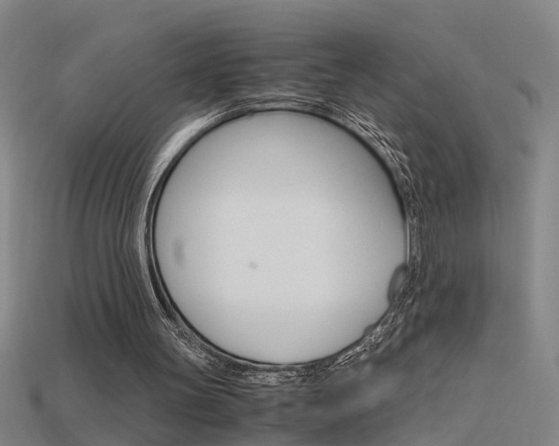 X0000115800147200911131029