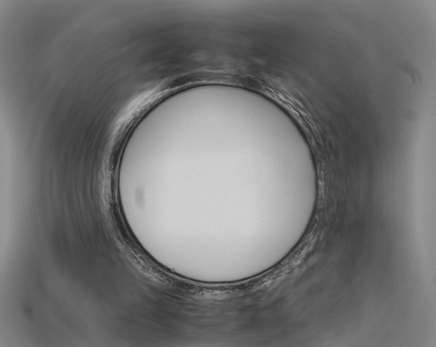X0000115800149200911131029