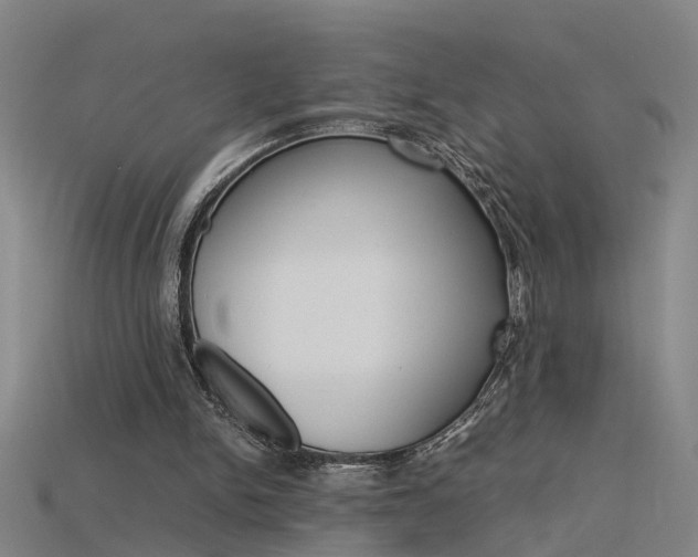 X0000115800150200911131029