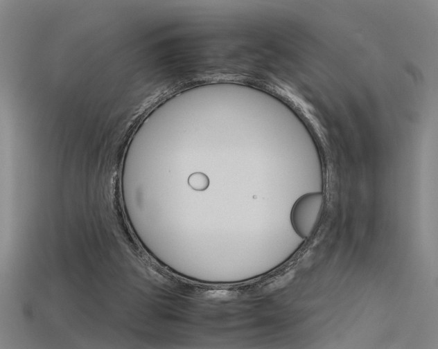 X0000115800153200911131029