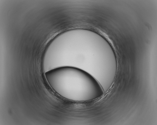 X0000115800154200911131029