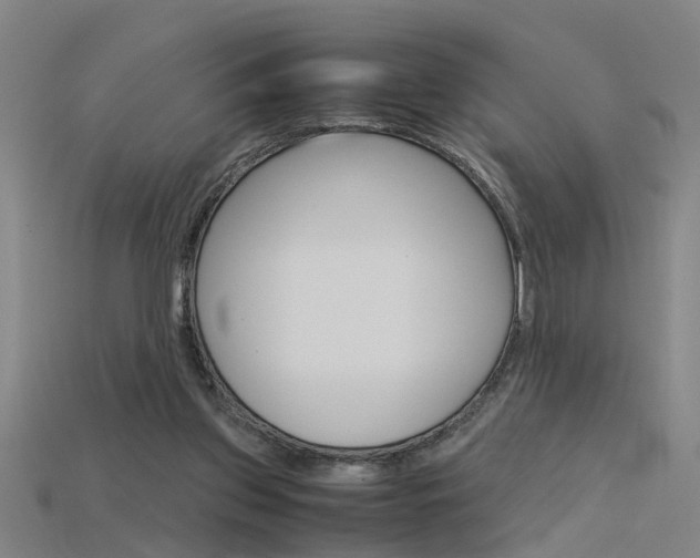 X0000115800157200911131029
