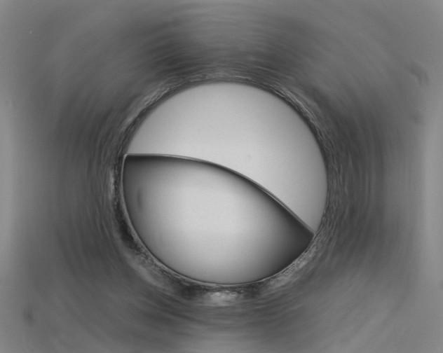 X0000115800158200911131029