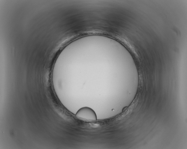 X0000115800159200911131029