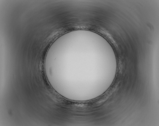 X0000115800161200911131029