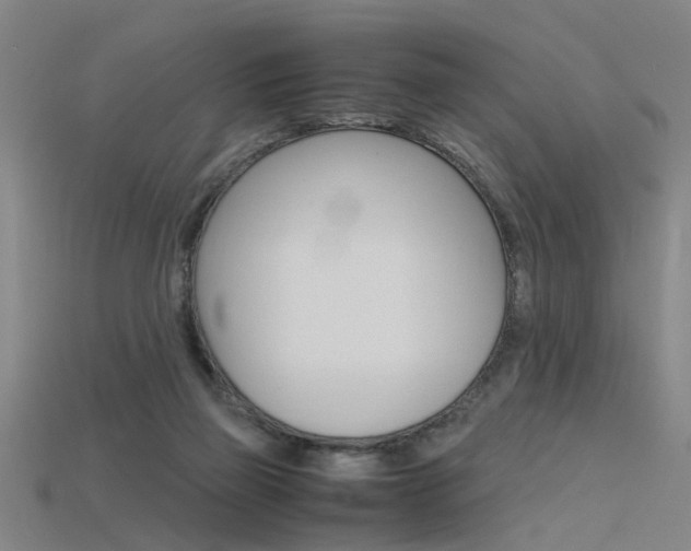 X0000115800165200911131029