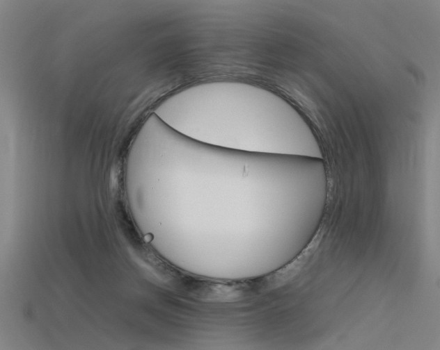 X0000115800166200911131029