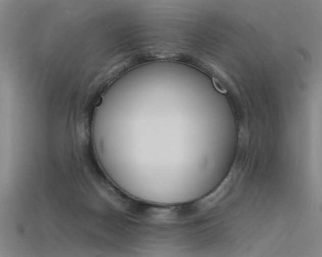 X0000115800170200911131029