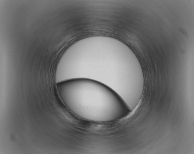 X0000115800174200911131029
