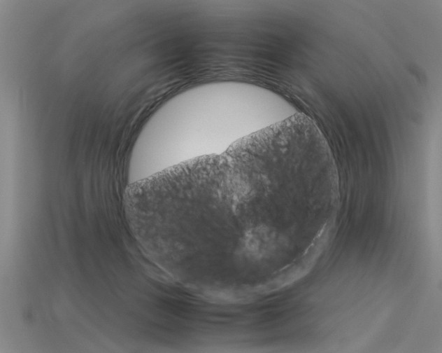 X0000115800175200911131029