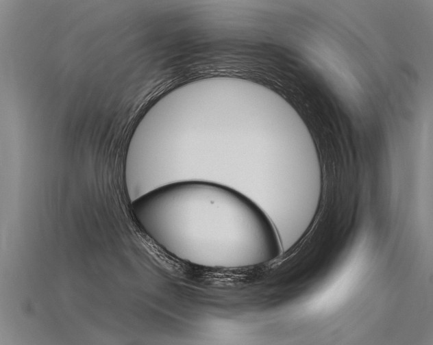 X0000115800190200911131030