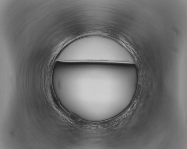 X0000115800193200911131029