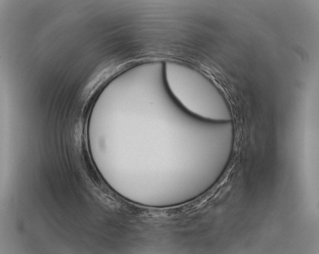 X0000115800194200911131029