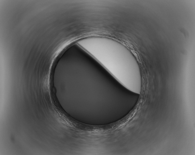 X0000115800196200911131029