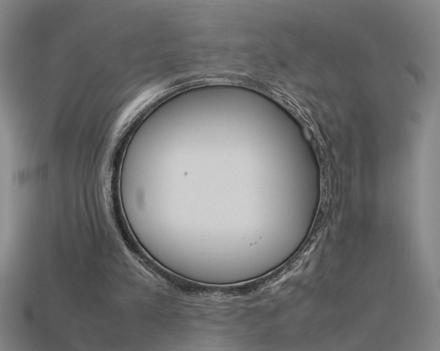 X0000115800197200911131029
