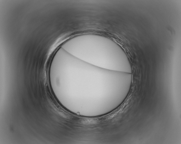 X0000115800198200911131029