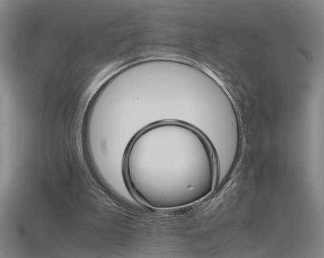 X0000115800199200911131029